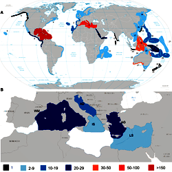 Regional pattern of records of sponge-cyanobacteria associations.