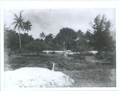 Cemetery, Nukualofa, Tongatabu