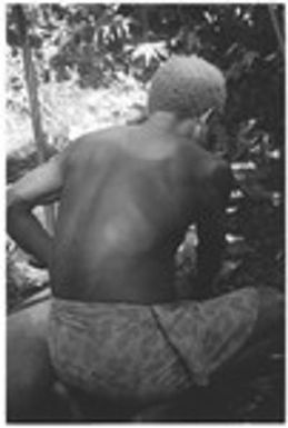 Smothering the pig for sacrifice, Kwailale'e
