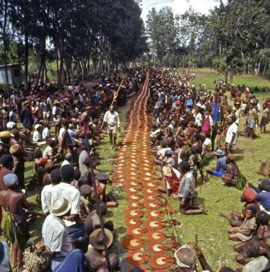 Moga offering of hundreds of kina shells laid out on the ground, Mount Hagen area, Papua New Guinea, approximately 1968 / Robin Smith