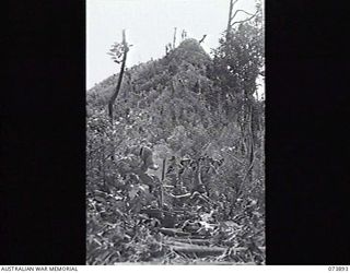 DUMPU, NEW GUINEA. 1944-06-18. A PATROL OF 11TH DIVISION CARRIER COMPANY MOVING ALONG SHAGGY RIDGE ON AN EXPEDITION. LEFT TO RIGHT: VX76415 LIEUTENANT R. B. EWERS, OFFICIAL WAR ARTIST, MILITARY ..