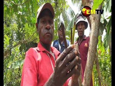 A Closer Look on EU STREIT Program on Agriculture