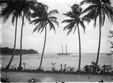 Harbour view