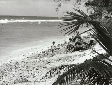 Pacific Islands - Cook Islands - Rarotonga - Scenics