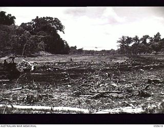 DREGER HARBOUR, NEW GUINEA. 1943-11-02. A BULLDOZER OF THE 808TH UNITED STATES ENGINEER AVIATION BATTALION CLEARING AN AREA FOR A NEW AIRSTRIP