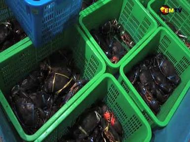 ZAVATH SEAFOOD EXPORT