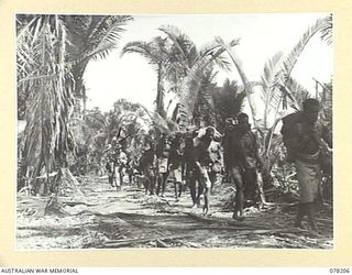 YAKAMUL, NEW GUINEA. 1945-01-09. MEMBERS OF THE 2/2ND INFANTRY BATTALION AND "JOCK FORCE" AND THEIR NATIVE CARRIERS MOVING ALONG A TRACK BY THE HARECH RIVER AS THEY MAKE FOR TONG WHILE ON A 40 DAY ..