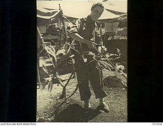 HELDSBACH MISSION, FINSCHHAFEN AREA, NEW GUINEA. 1944-03-13. NFX70245 SISTER N.G. LUKE, OF THE 2/3RD CASUALTY CLEARING STATION, AUSTRALIAN ARMY NURSING SERVICE (AANS), PICTURED PICKING FRANGIPANI ..