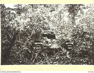 GUSIKA, NEW GUINEA. 1944-03-18. AN A SQUADRON, 1ST TANK BATTALION MATILDA TANK TEARING VINES AND VEGETATION IN ITS PATH THROUGH THE JUNGLE