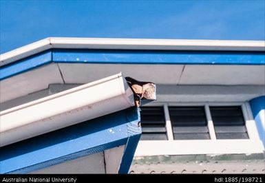 Tonga - gutter of a building