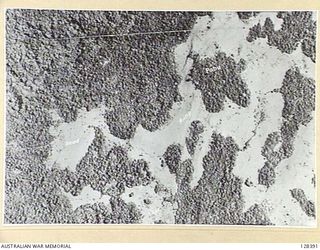 NEW GUINEA, 1943. AN AREA NORTH OF THE SONG RIVER KNOWN AS HORACE THE HORSE AND A SMALL WOODED AREA CALLED PABU. AFTER FIERCE FIGHTING THE AREA WAS FINALLY CAPTURED ON 1943-12-01 BY UNITS OF THE ..