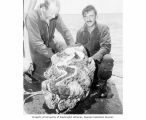 CAPT. Christian L. Engleman and Chief Mullen from USS COUCAL with a giant clam, probably in the vicinity of Bikini Atoll, summer 1947