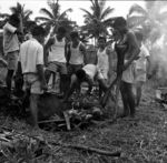 Preparing earth oven at Tonga College, putting in pudding.