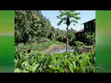 "Kahakuloa" by Iao Intermediate School | HIKI NŌ 104 | PBS HAWAIʻI