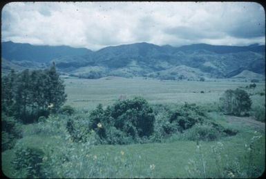 Aviamp area (Dr John McCaffrey on left, Dr Terry Spencer on right with bow) : Waghi Valley, Papua New Guinea, 1954 / Terence and Margaret Spencer