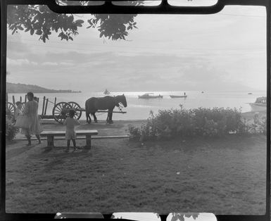 Papeete at sunset, Tahiti, showing horses pulling cart and boats in the lagoon