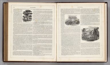 (Text Page) Polynesia (continued).