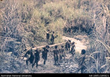 Men carrying tree trunk, Möndöld