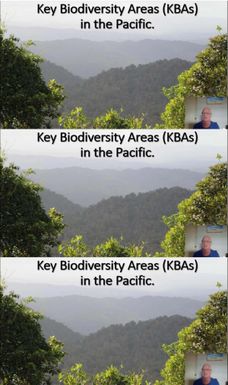 Small Key Biodiversity Areas (KBA) Lightning