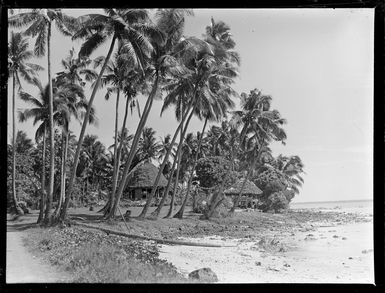View of native thatch roof huts on a beachfront amongst palm trees, Apia, Western Samoa