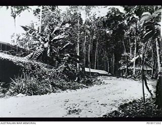 Goodenough Island, D'Entrecasteaux Islands, Papua, 1944. Road at the RAAF base leading past an administration hut at left half concealed by camouflage netting. Other huts stand among palm trees in ..