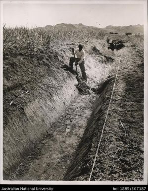 Farmer digging trench