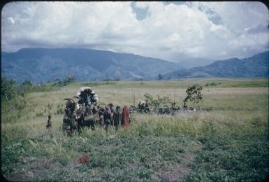 The two parties to the ceremony : Wahgi Valley, Papua New Guinea, 1955 / Terence and Margaret Spencer