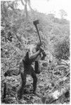 Man working in garden