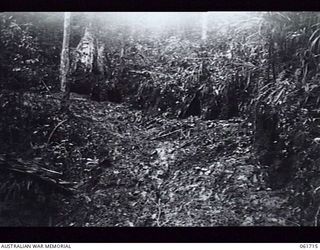 PEAK HILL, NEW GUINEA. 1943-12-10. JAPANESE FOX HOLES DUG INTO THE BANK ON THE SIDE OF A MUDDY ROAD AT PEAK HILL, WHICH WAS THE ENEMY'S MAIN DEFENCE LINE