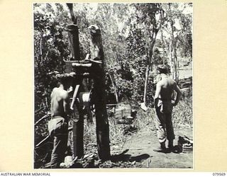 ORO BAY, NEW GUINEA. 1943-07. COOKS OF THE 10TH FIELD AMBULANCE USING THE UNIT FLYING FOX TO SEND MEALS TO THE UNIT WARDS DOWN IN THE GULLY