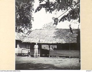 LAE, NEW GUINEA. 1944-08-19. NX56998 WARRANT OFFICER II, D. MARTIN, MILITARY HISTORY SECTION OUTSIDE THE SECTIONS OFFICE AT HEADQUARTERS, NEW GUINEA FORCE