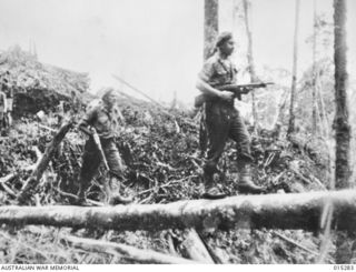 1943-07-23. NEW GUINEA. WAU-MUBO AREA. AUSTRALIAN TROOPS MOVE ON TO HARRY RETREATING JAPS. (NEGATIVE BY G. SHORT)