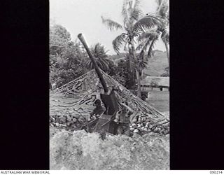 GOODENOUGH ISLAND, NEW GUINEA, 1942-10. A CAMOUFLAGED WOOD GUN. THIS WAS PART OF A MASTERPIECE OF BLUFF AND DECEPTION BY WHICH THE SMALL GROUP OF AUSTRALIANS WHO SEIZED THE ISLAND CONVINCED THE ..