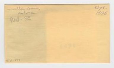 [Turtle in Hawaii, envelope IE31-174]