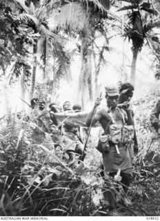 Kwinbu, New Guinea. 1945-07-28. A wounded native of the New Guinea Infantry Battalion being carried from the village of Gisananbu to a surgical post at Kwinbu