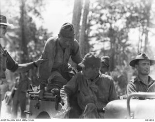 BABIANG AREA, NEW GUINEA, 1944-11-18. A JAPANESE WARRANT OFFICER AND TWO SERGEANTS, CAPTURED BY THE 2/10 COMMANDO SQUADRON AT SUAIN BEING ESCORTED FOR QUESTIONING BY ALLIED TRANSLATOR INTERROGATION ..