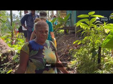 International Year of the Woman Farmer