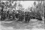 Pig festival, singsing, Kwiop: procession of decorated men with feather headdresses, they play kundu drums and sing