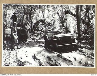GODOWA, NEW GUINEA. 1943-11-05. A JEEP NEGOTIATING A BAD STRETCH OF MUDDY ROAD NEAR THE 9TH AUSTRALIAN DIVISION HEADQUARTERS