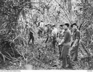 SATTELBERG AREA, NEW GUINEA. 1943-11-15. A PATROL OF THE 2/24TH. AUSTRALIAN INFANTRY BATTALION LEAVING THE BATTALION LINES. SHOWN ARE: VX14320. PRIVATE A. W. M. CORCORAN. (1) VX75910 PRIVATE N. W. ..