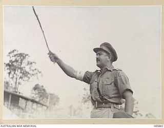 HERBERTON, QLD. 1945-01-20. MAJOR MCGEOCH, STANDING ON A JEEP, AUCTIONS HORSES AT HQ 9 DIVISION DURING THE 9 DIVISION GYMKHANA AND RACE MEETING HELD AT HERBERTON RACECOURSE. PURCHASE WAS RESTRICTED ..