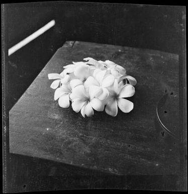 Bowl of frangipanni on a suitcase, Rabaul, New Guinea, ca. 1936 / Sarah Chinnery