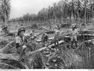 1943-05-07. NEW GUINEA. MILNE BAY. RAAF MEMBERS STOP FOR A SPELL DURING THE CLEARING FOR AN AIRSTRIP AT MILNE BAY. (NEGATIVE BY N. BROWN)