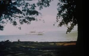 [USS Comfort In New Guinea]