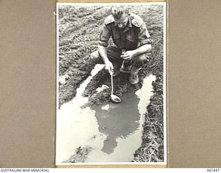 DUMPU, NEW GUINEA. 1943-12-06. QX4260 LIEUTENANT W. J. LYDDY, OFFICER COMMANDING, 18TH AUSTRALIAN ANTI-MALARIAL CONTROL UNIT LADLING WATER FROM A WHEEL RUT FOR EXAMINATION IN THE UNIT LABORATORY