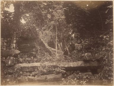 Ruins at Pohnpei, 1886
