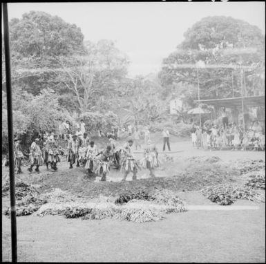 The start of fire walk by Fijian men, dressed in traditional costumes, Fiji, 1966 / Michael Terry