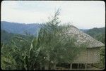 Jimi River area, panoramic view 09: house occupied by Edwin Cook and Susan Pflanz-Cook