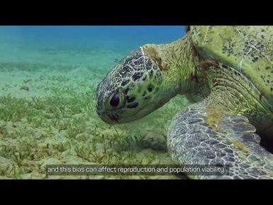 Climate change impacts on fisheries and marine environment - Vanuatu Climate Future Portal