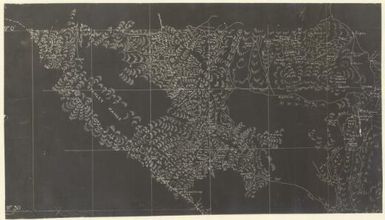 [Owen Stanley Range to the Kinjaki Barige landing near Avani Hill, Papua New Guinea] (16)